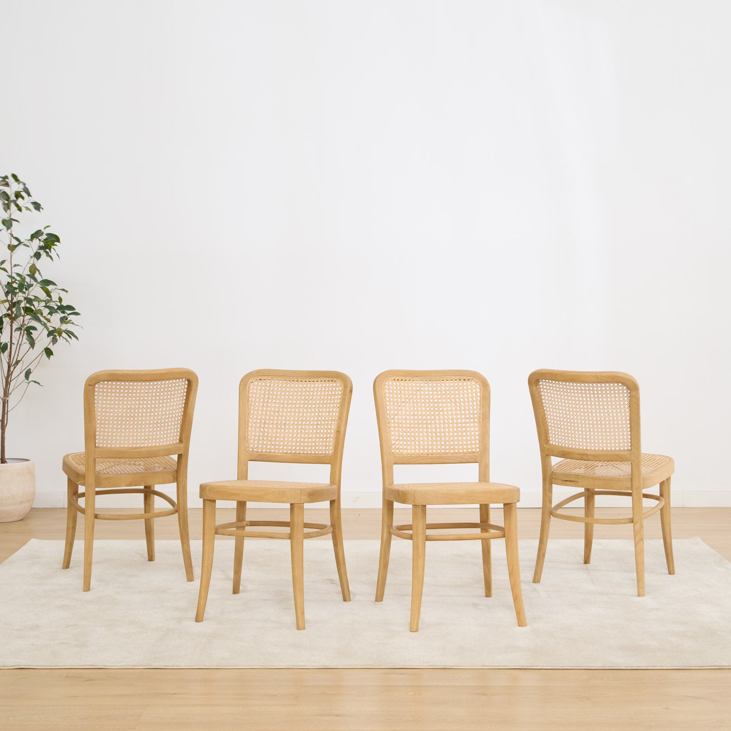 Pack 4 Gamla chairs