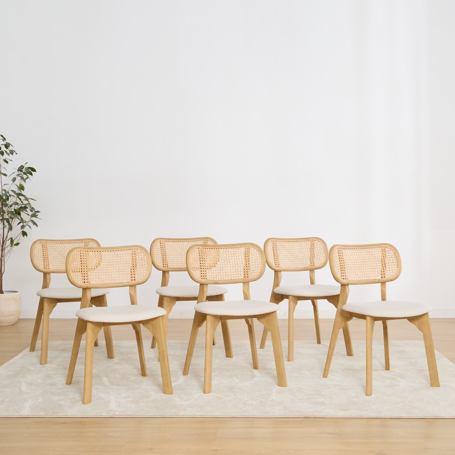 Pack of Dari wood and rattan chairs Dining Room Wabi Home