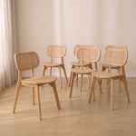 Pack 6 chaises Dari Wood