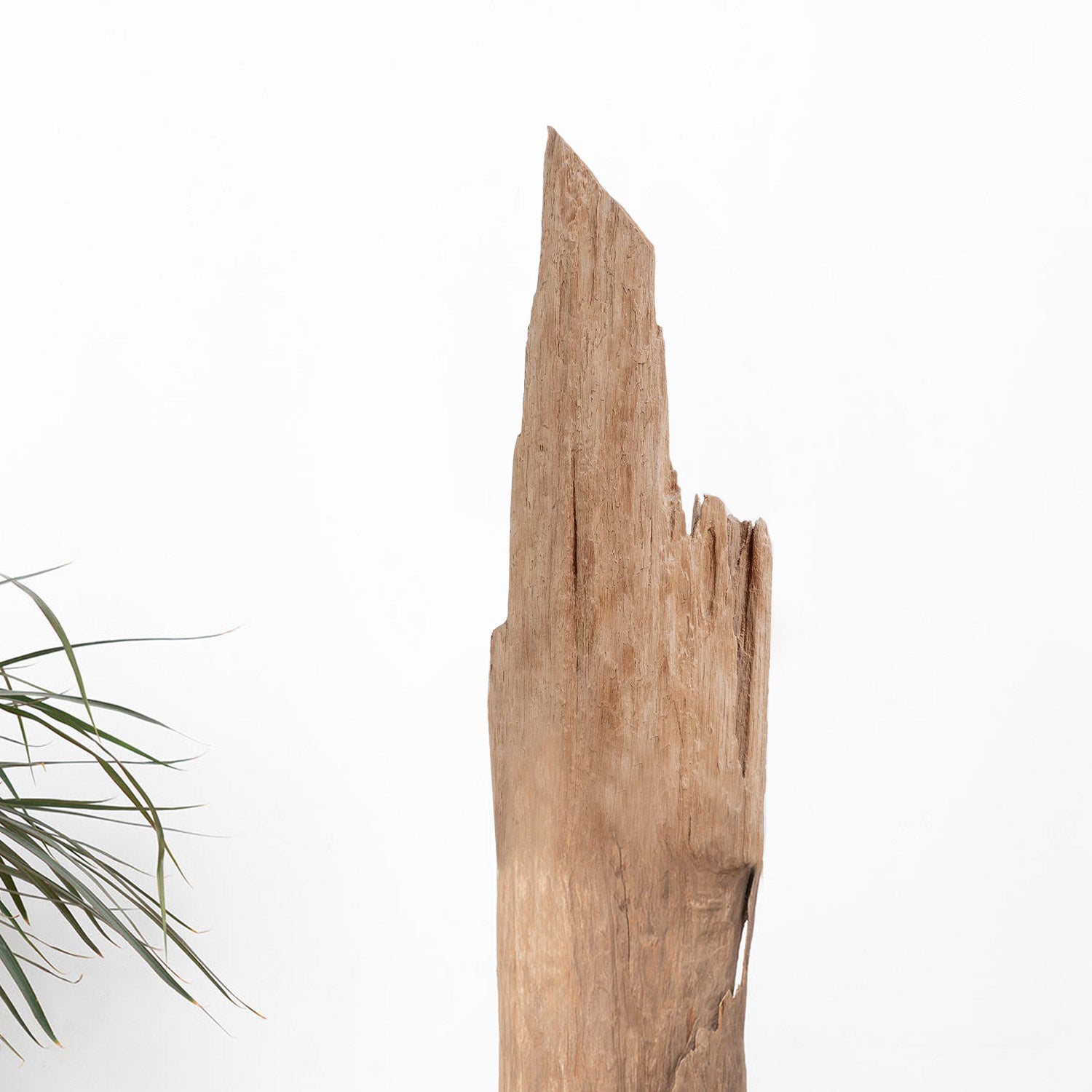 Organic M Lámpara de pie madera