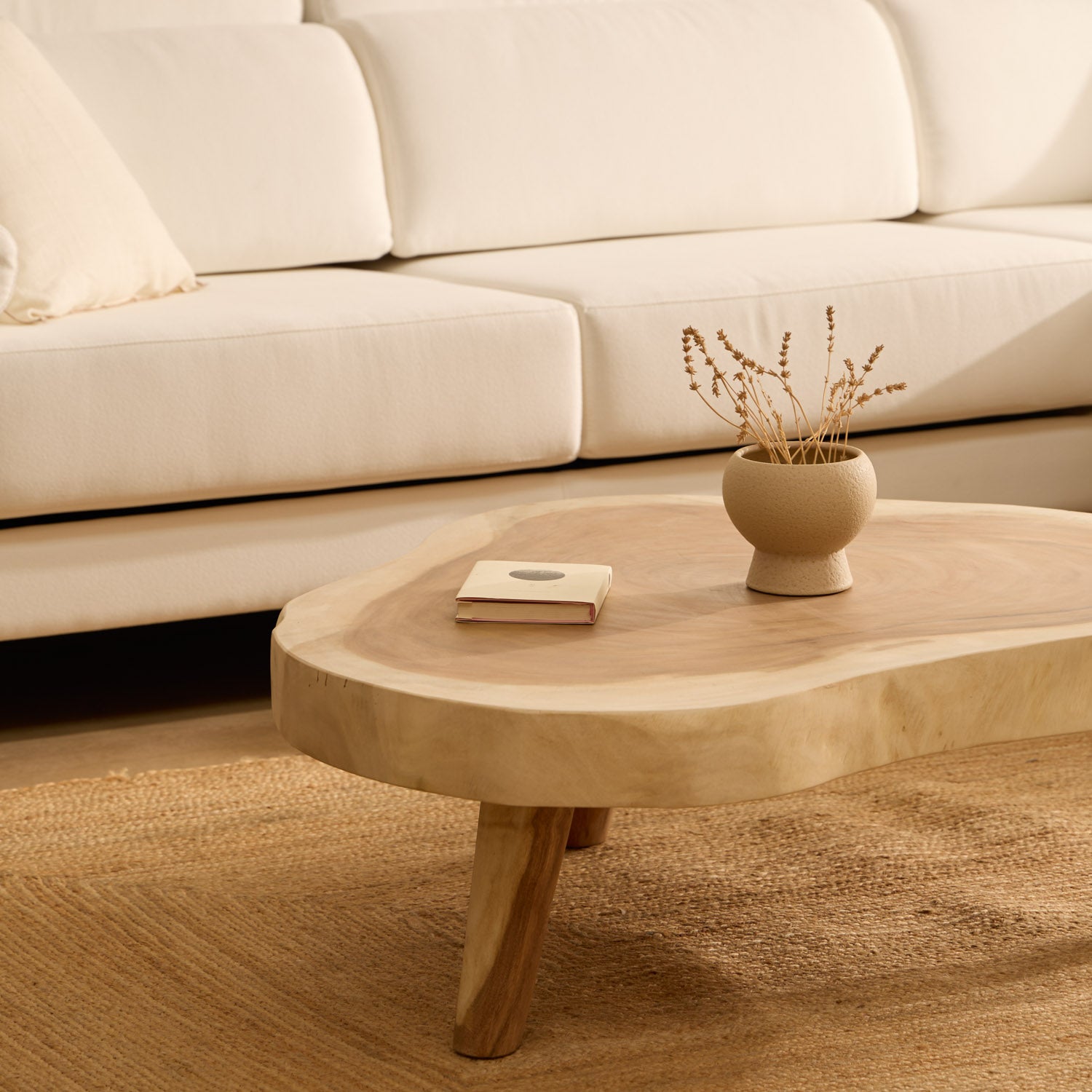 TABLE BASSE NATURA