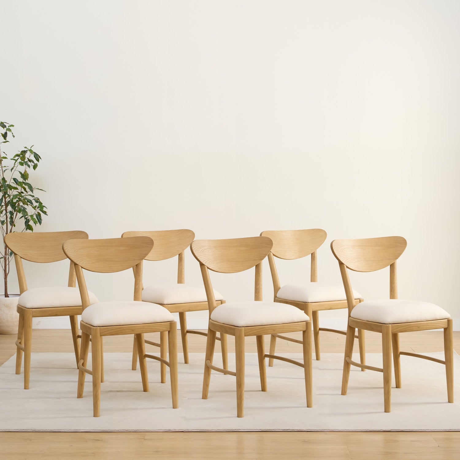 PACK OF 6 LUBA CHAIRS