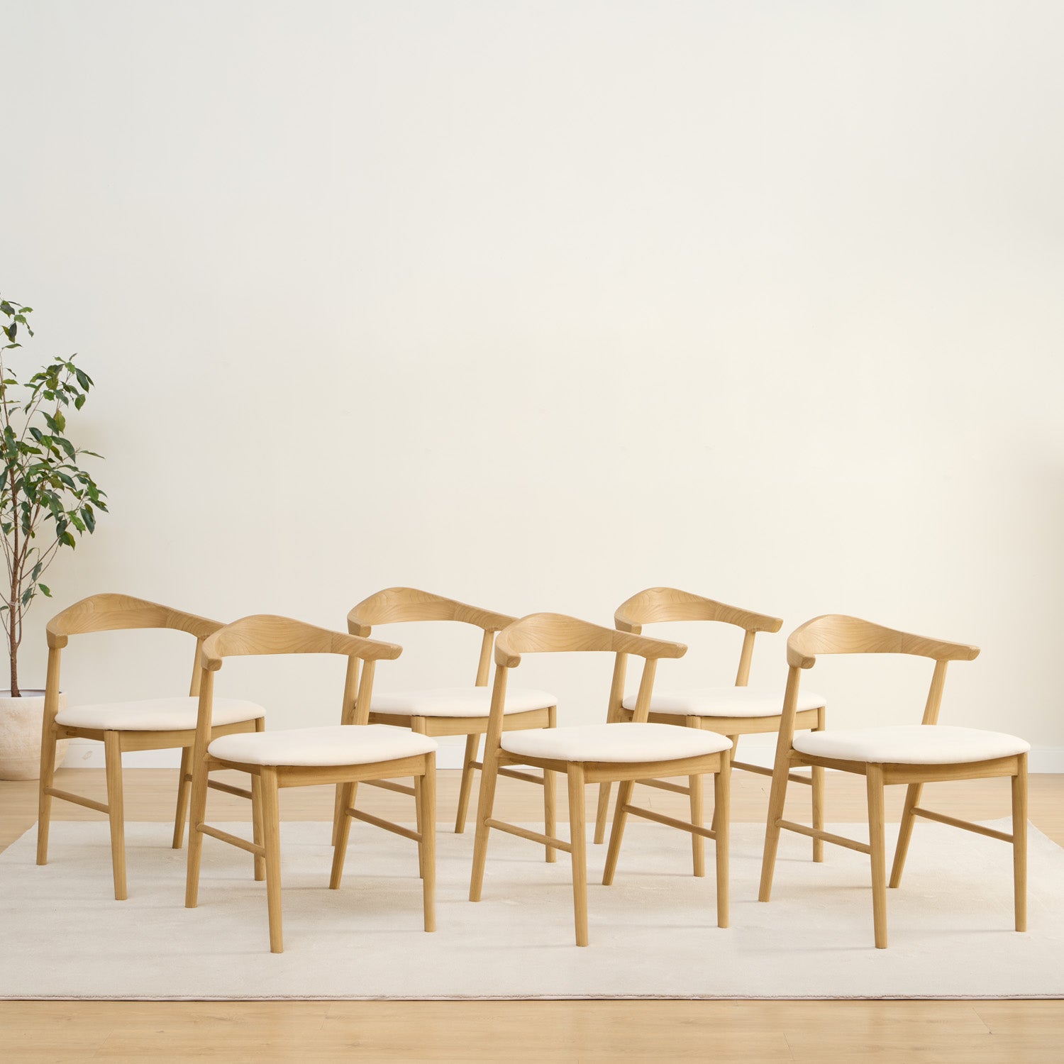 PACK OF 6 MADI CHAIRS