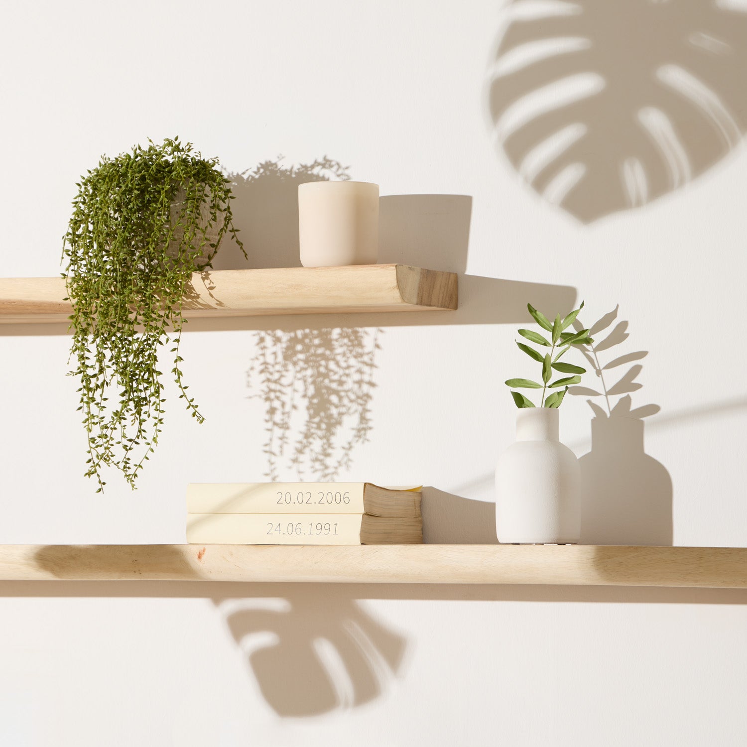 SHELF NATURA