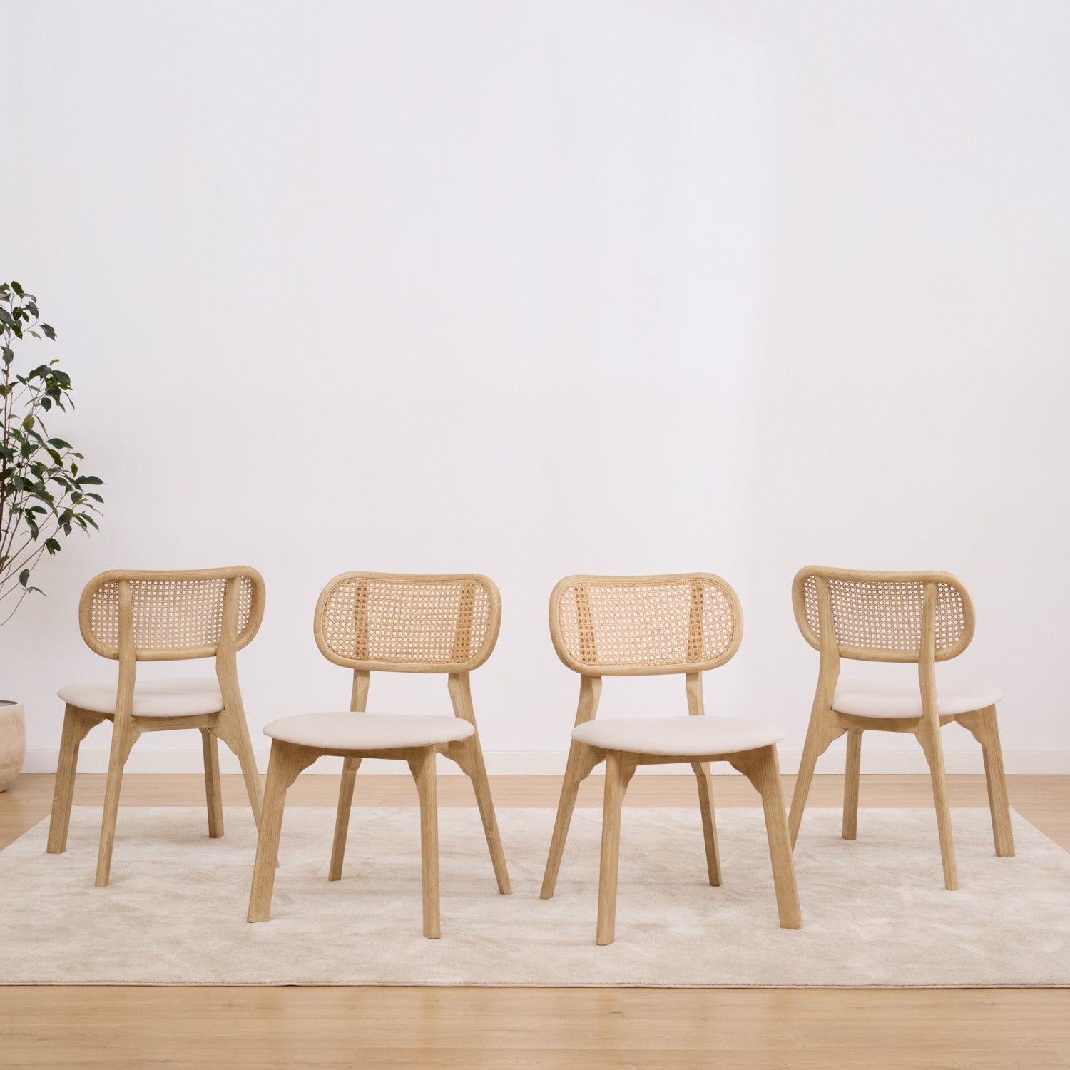 PACK 4 CHAIRS DARI