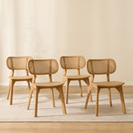 Pack 4 sillas Dari Wood