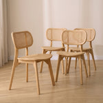 Pack 4 chaises Dari Wood