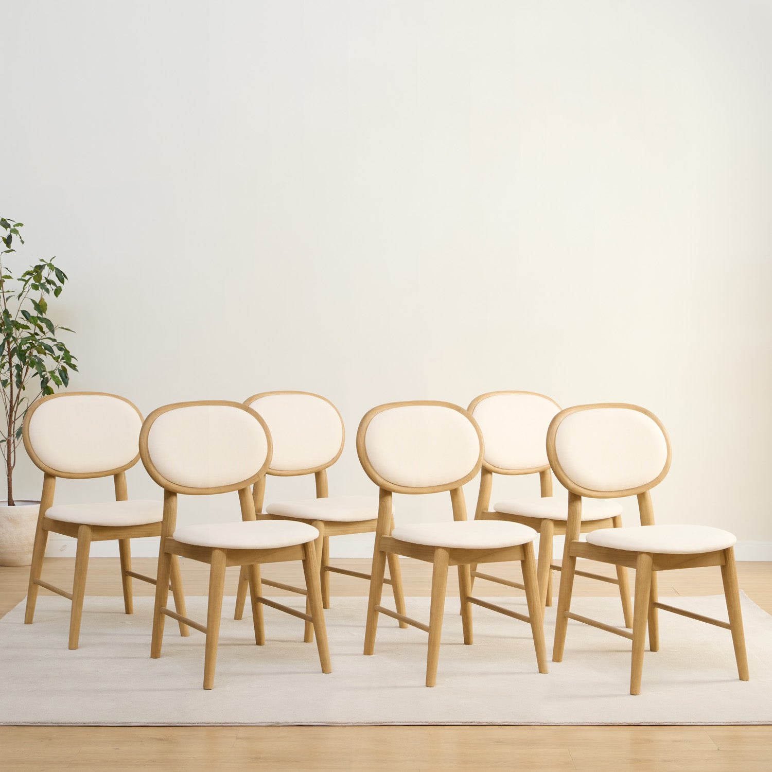 PACK OF 6 CHAIRS BURI