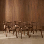 Pack 6 Dari Wood Mocca chairs