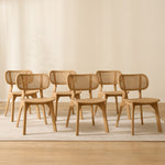 Pack 6 sillas Dari Wood