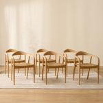 Pack 6 sillas Mode Wood