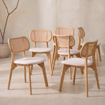 Pack 6 chaises Dari