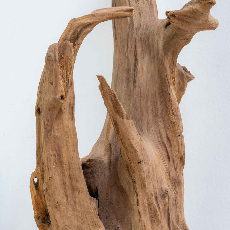 Raices figura decorativa madera natural